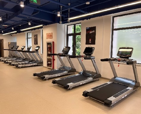 民宿小型健身器材推荐：小空间轻配套，提升入住体验加分项